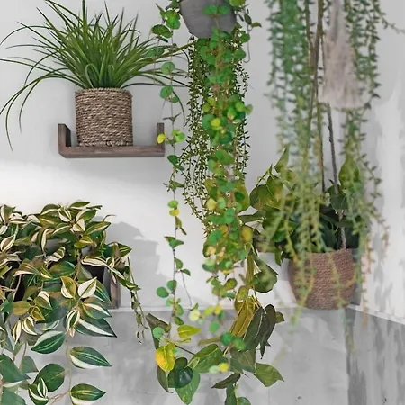 Appartamento Linstantpresent Gaillac