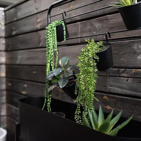 Linstantpresent Gaillac